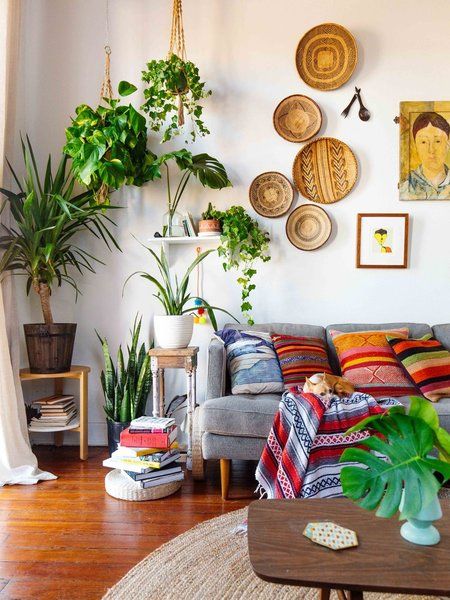 Decorate With Indoor Plants