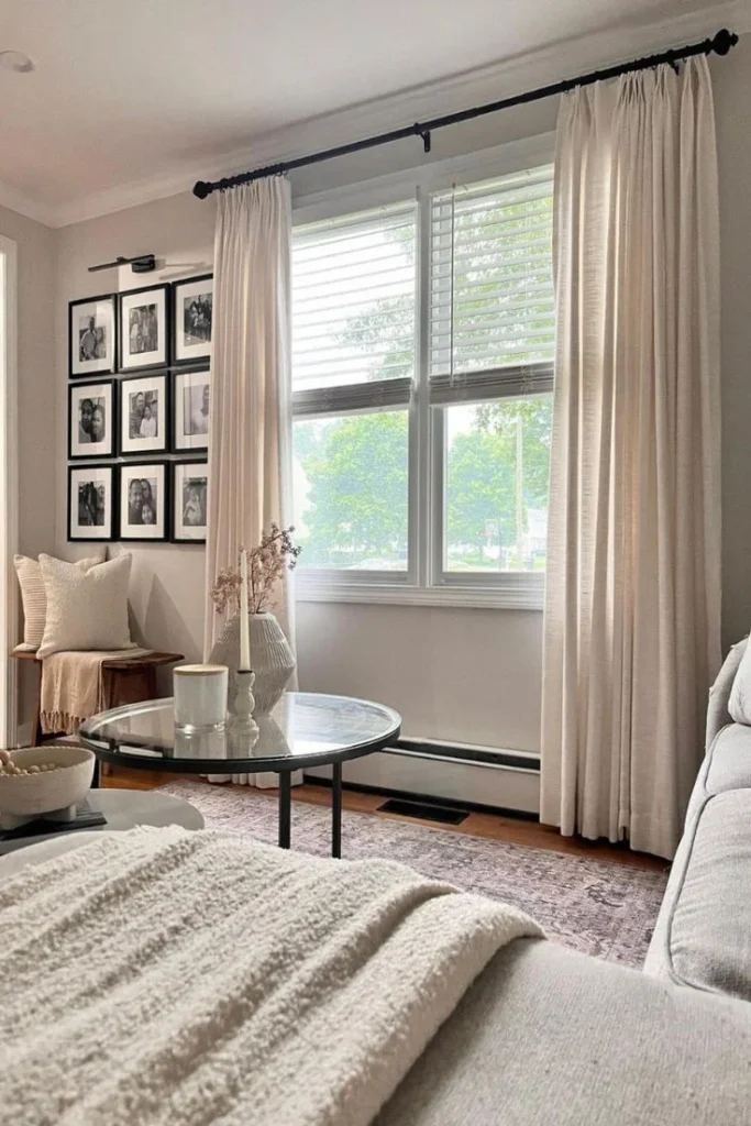 Minimal Window Treatments for Maximum Light