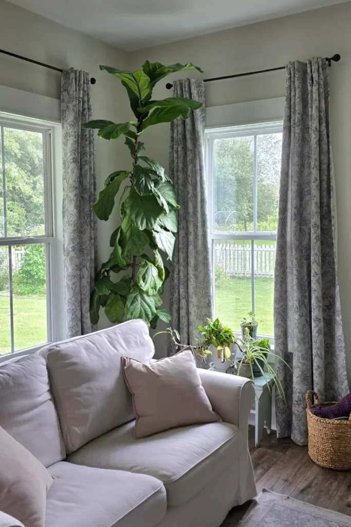 Hang Curtains High and Wide Frame the Room, Not the Window